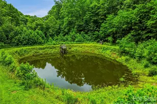 961 Wilson Branch Rd, Mars Hill, NC 28754 - Photo 45
