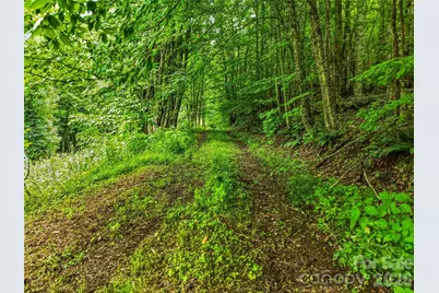 961 Wilson Branch Road, Mars Hill, NC 28754 - Photo 35