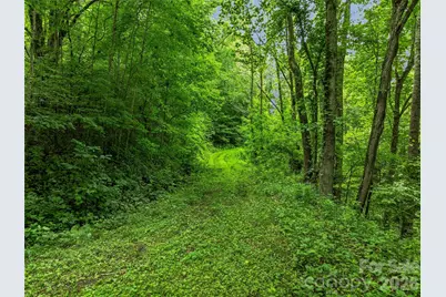 961 Wilson Branch Road, Mars Hill, NC 28754 - Photo 33