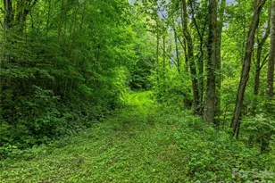 961 Wilson Branch Rd, Mars Hill, NC 28754 - Photo 33