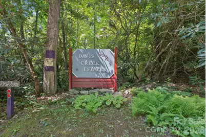89 Apgar Road, Candler, NC 28715 - Photo 41