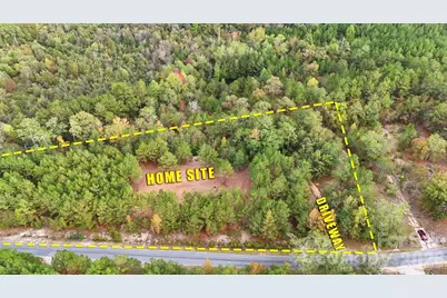 0 Steen Road, Mount Croghan, SC 29727 - Photo 3