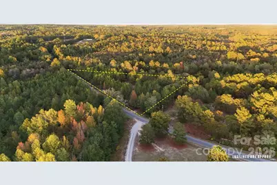 0 Steen Road, Mount Croghan, SC 29727 - Photo 5