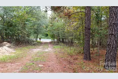 0 Steen Road, Mount Croghan, SC 29727 - Photo 9