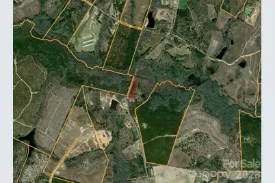 0 Steen Road, Mount Croghan, SC 29727 - Photo 17