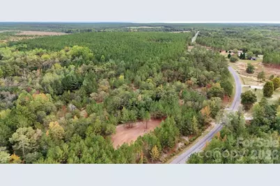 0 Steen Road, Mount Croghan, SC 29727 - Photo 7