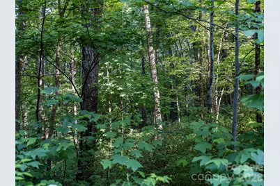 8 Carls Cove Road, Black Mountain, NC 28711 - Photo 9