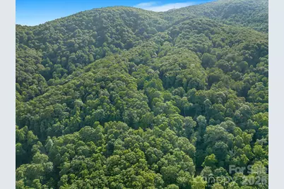 8 Carls Cove Road, Black Mountain, NC 28711 - Photo 11