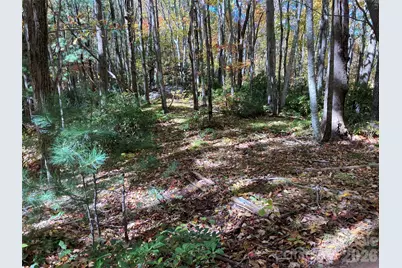 8 Carls Cove Road, Black Mountain, NC 28711 - Photo 5