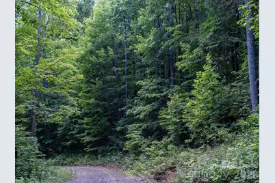 8 Carls Cove Road, Black Mountain, NC 28711 - Photo 15