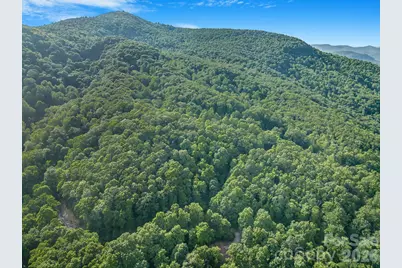 8 Carls Cove Road, Black Mountain, NC 28711 - Photo 13