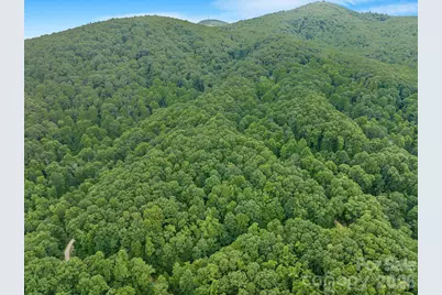 8 Carls Cove Road, Black Mountain, NC 28711 - Photo 1