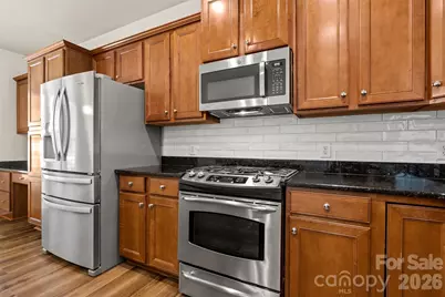 48451 Snapdragon Lane, Indian Land, SC 29707 - Photo 9