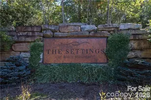 46 Settings Blvd, Black Mountain, NC 28711 - Photo 1