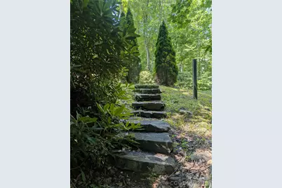 46 Settings Boulevard #139, Black Mountain, NC 28711 - Photo 7