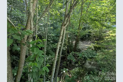 46 Settings Boulevard #139, Black Mountain, NC 28711 - Photo 11