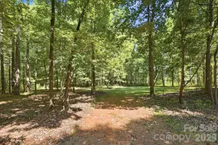 5920 Polk Mountain Dr, Marshville, NC 28103 - Photo 43