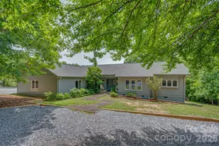 441 Lower Ridgeview Rd, Columbus, NC 28722 - Photo 5