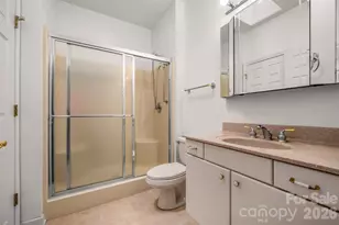 441 Lower Ridgeview Rd, Columbus, NC 28722 - Photo 21