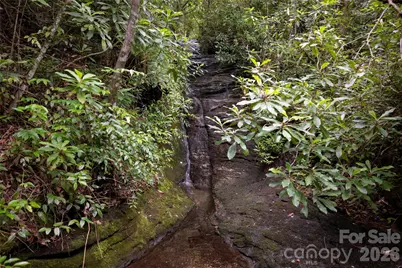 100 Meadow Ridge Drive, Lake Toxaway, NC 28747 - Photo 43