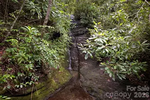 100 Mdw Rdg Dr, Lake Toxaway, NC 28747 - Photo 43
