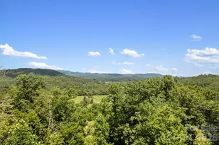 376 Stoney Brook Rd, Penrose, NC 28766 - Photo 3