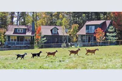 46 Rhett Drive, Flat Rock, NC 28731 - Photo 25