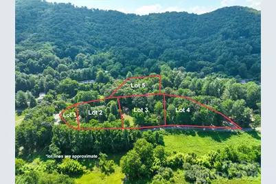 379 Chunns Cove Road, Asheville, NC 28805 - Photo 3