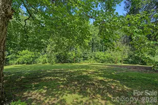 379 Chunns Cove Rd, Asheville, NC 28805 - Photo 1
