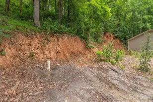 87 Holly Ridge Rd, Candler, NC 28715 - Photo 17