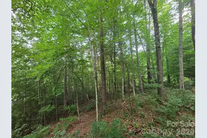 16 Courseview Drive, Weaverville, NC 28787 - Photo 3
