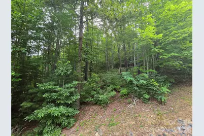 16 Courseview Drive, Weaverville, NC 28787 - Photo 5