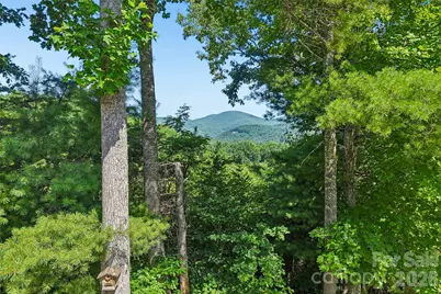 959 Silverglen Way, Hendersonville, NC 28792 - Photo 45
