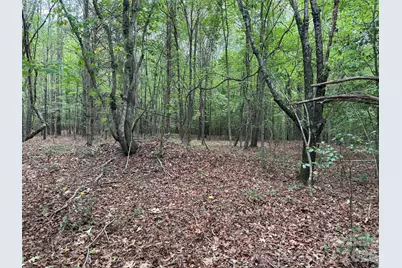 8169 Raccoon Track Drive, Sherrills Ford, NC 28673 - Photo 5