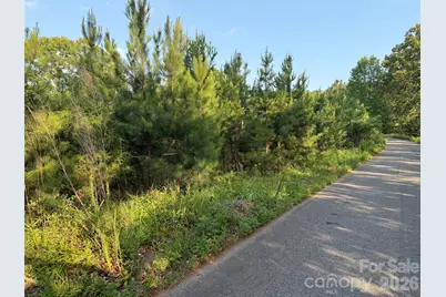 8169 Raccoon Track Drive, Sherrills Ford, NC 28673 - Photo 19
