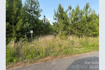8169 Raccoon Track Drive, Sherrills Ford, NC 28673 - Photo 15