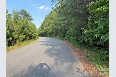 8169 Raccoon Track Drive, Sherrills Ford, NC 28673 - Photo 21