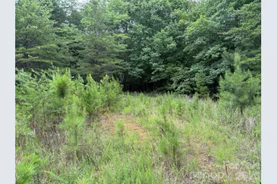 8169 Raccoon Track Drive, Sherrills Ford, NC 28673 - Photo 7