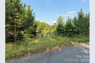 8169 Raccoon Track Drive, Sherrills Ford, NC 28673 - Photo 17