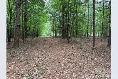 8169 Raccoon Track Drive, Sherrills Ford, NC 28673 - Photo 3