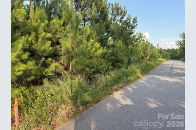 8169 Raccoon Track Drive, Sherrills Ford, NC 28673 - Photo 13