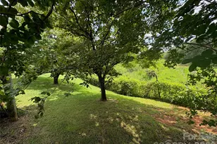 1812 Freemantown Rd, Lake Lure, NC 28746 - Photo 31