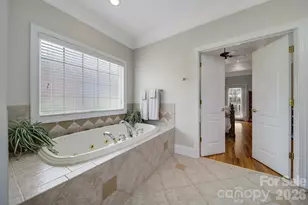 263 Hemingway Ln, Fort Mill, SC 29708 - Photo 19