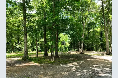 99999 Chunns Cove Road, Asheville, NC 28805 - Photo 3