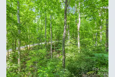 Lot 82 Lakewood Drive, Lake Lure, NC 28746 - Photo 9
