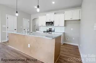 3111 Aberleaf Ln, Charlotte, NC 28227 - Photo 5