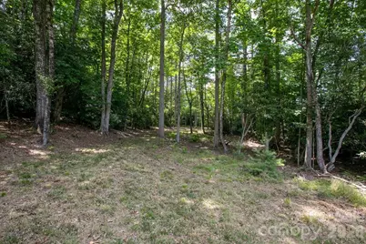 1571 Eagle Lake Drive #153, Brevard, NC 28712 - Photo 19