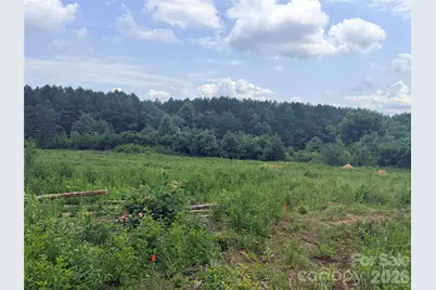0 Doggett Grove Road #1, Forest City, NC 28043 - Photo 3