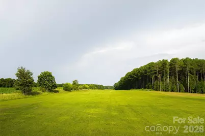 121 Athens School Road, Gaston, SC 29053 - Photo 19