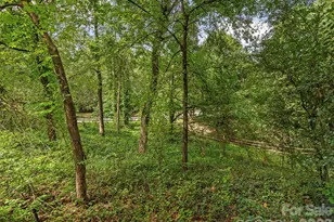14437 Raynham Dr, Charlotte, NC 28262 - Photo 41
